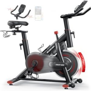 2026 Exercise Bike with Touchscreen LCD Display, Customizable Workout Goals, Spin Bike with APP, 0-100% Magnetic Resistance, Dumbbell Rack, 15kg Flywheel, 170KG Weight Capacity